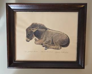 Young Burro Hand Watercolour by Charles Beckendorf