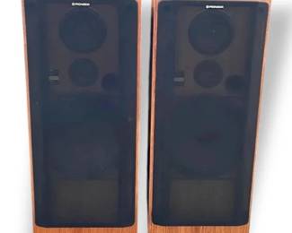 Pioneer Floor Speakers