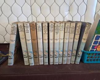 Bobbsey Twins Books