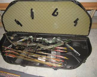 bow and arrows