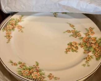 Antique China - Dinner plate set