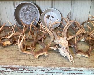 DEER HORN COLLECTION