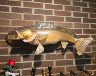 Walleye Taxidermy mount, 8# 28" excellent condition!