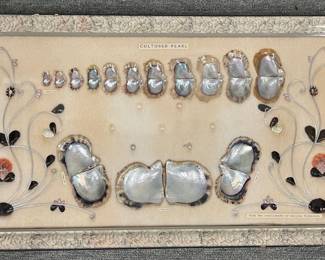 Mother of Pearl Shell Display