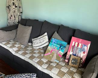 Charcoal Gray Sofa