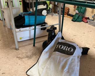 Toro Blower (Tested)