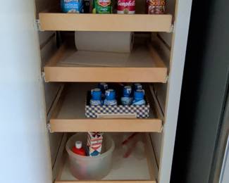 Assorted Canned Goods and Household Items in Pull-Out Shelving Unit