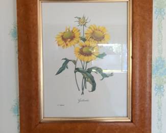 Pierre-Joseph Redouté "Gaillardia" Botanical Print in Faux Wood Frame