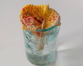 Coca-Cola Embossed Tumbler with Canna Lily