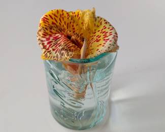 Coca-Cola Embossed Tumbler with Canna Lily