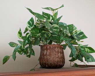 Artificial Marble Queen Pothos Plant in Woven Basket
