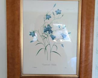 Pierre-Joseph Redouté "Campanula Clochette" Botanical Print