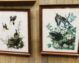 More Audubon prints