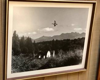 1970s Josef Scaylea photo "Canadian Honker", image 13.5" x 17.5"