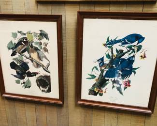 Audubon prints (18" x 22" framed)