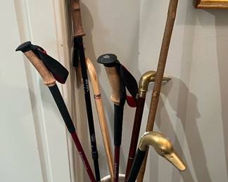 Various Walking Sticks