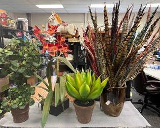 plants 