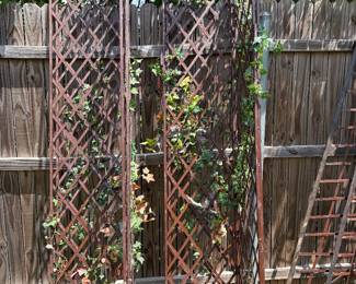 Rustic iron outdoor garden trellis 