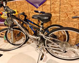 Schwinn Voyager Bike