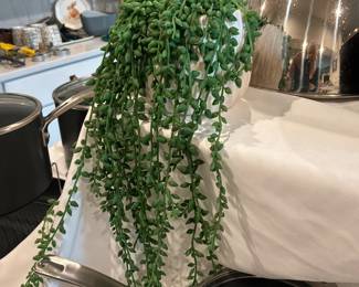 Faux succulent ivy