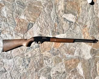 Winchester 22 L OR LR Model 190 (3 Day Wait)