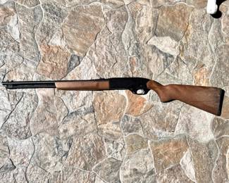 Winchester 22 L OR LR Model 190 (3 Day Wait)