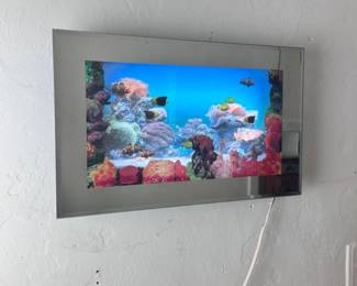 Framed Motion & Sound Lighted Picture