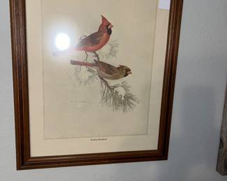 Bird print