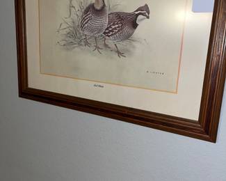 Bird print