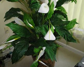 Faux Lilly plant