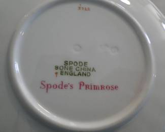Spode's Primerose
