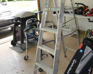 Aluminum ladder
