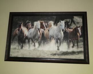 Stallions