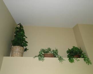 Faux plants up high, don't worry we will bring them down...or will we?