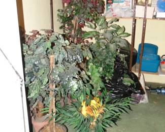 Look! More faux plants