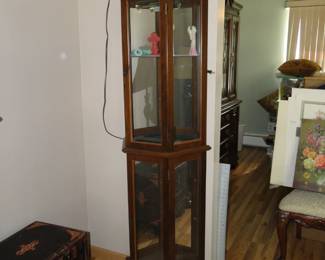 Tall glass and mirror curio cabinet. Perfect as is, or would make a great project piece too