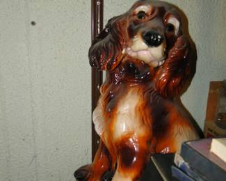 Hello puppy