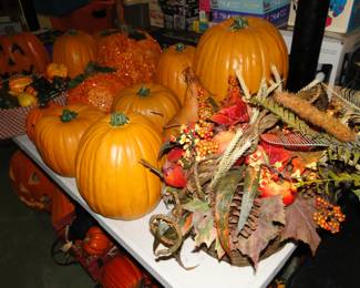 Large fall pumpkins, perfect for Fall and Thanksgiving