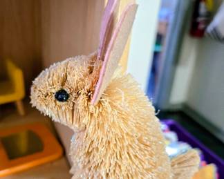 Bunny