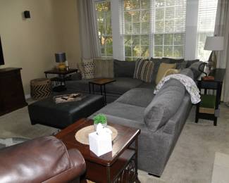 Gray sectional and everything else you see in the picture is also for sale as well.  yes even the tissue box