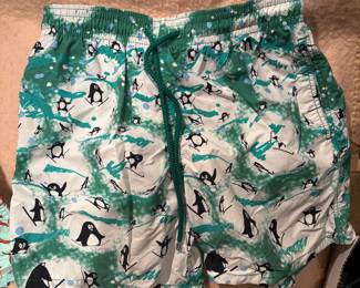 Vilebrequin Men Bathing Trunks (Large)
