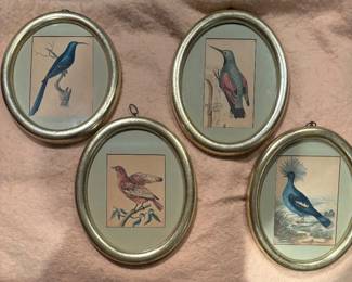 Audobon Prints