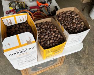 Pecans from last fall