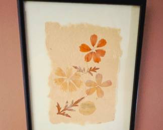 Framed Pressed Cosmos Art on Handmade Paper