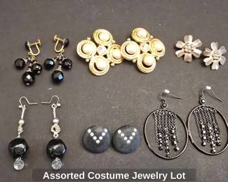 Assorted Costume Jewelry Lot