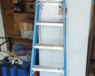 Werner foot Fiberglass Type I Step Ladder