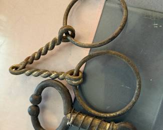 Horse bit; bull nose lead