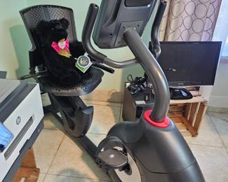 Recumbent exercise bike