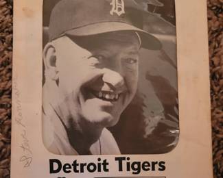 Tigers picture pack
