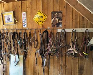 Bridles and bits